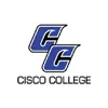 cisco college icon